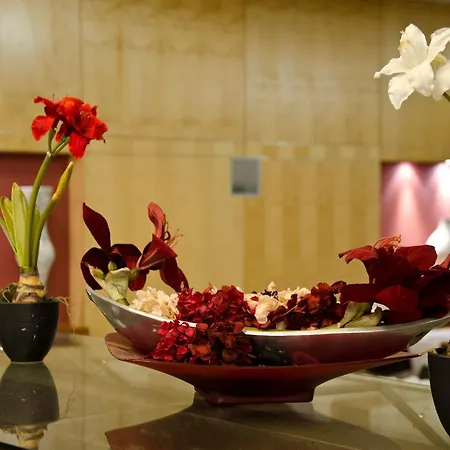 Vip Executive Entrecampos & Conference Otel Lisboa